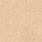 HF209