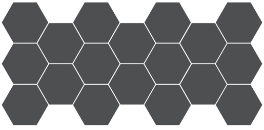 S17205T